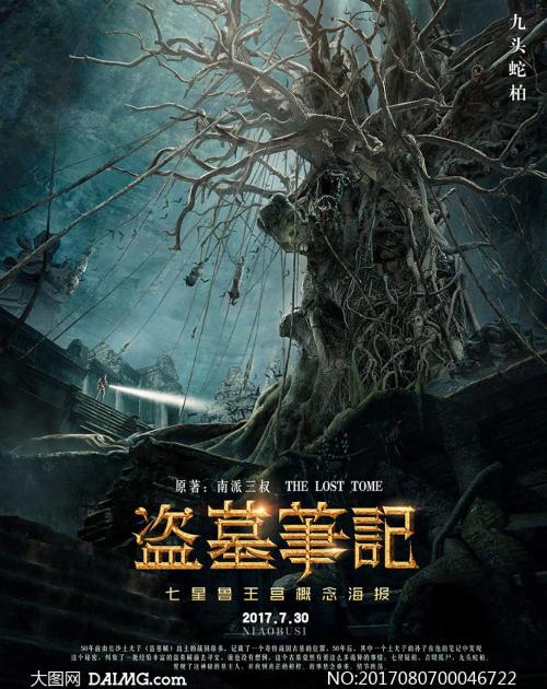 斯旺西大学社会学文凭证书